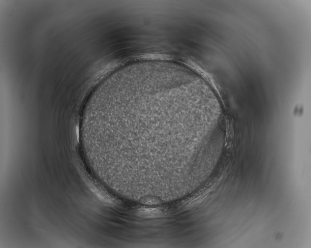 X0000098020061200804251147