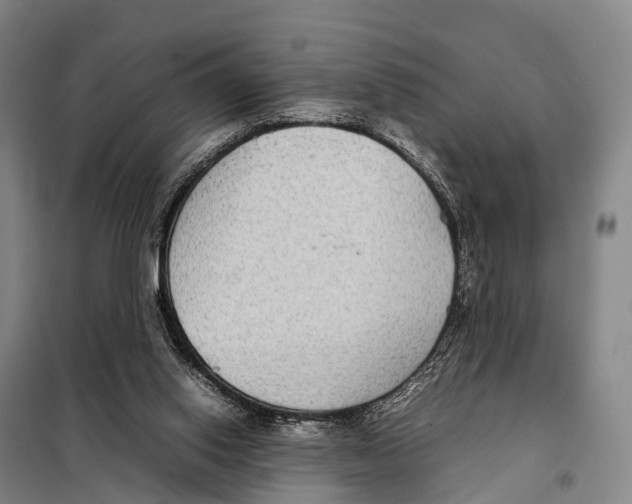 X0000098020062200804251147