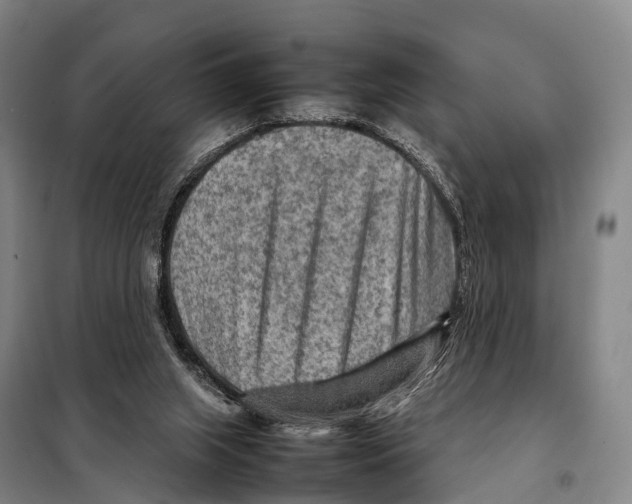 X0000098020063200804251147