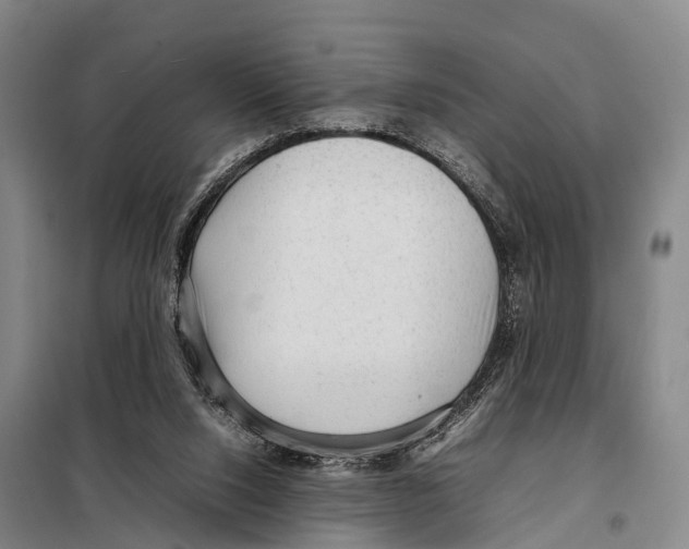 X0000098020064200804251147