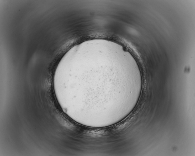 X0000098020065200804251147