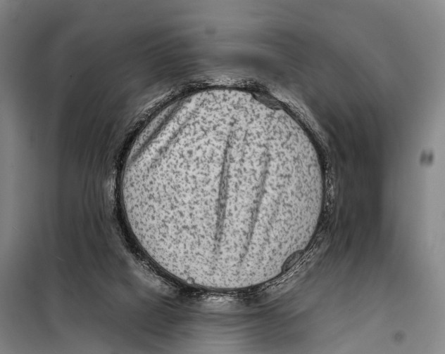 X0000098020066200804251147