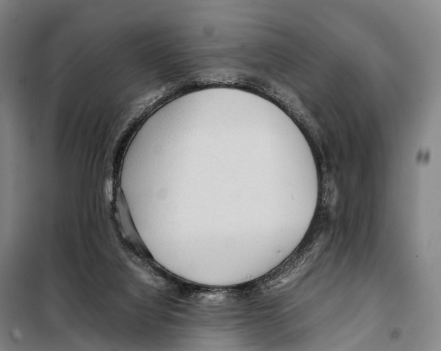 X0000098020068200804251147