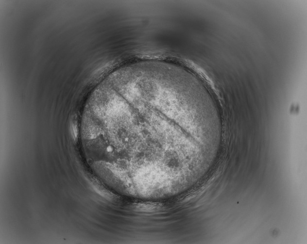 X0000098020069200804251147