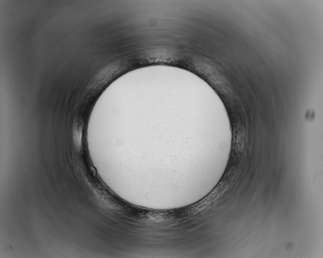 X0000098020070200804251147