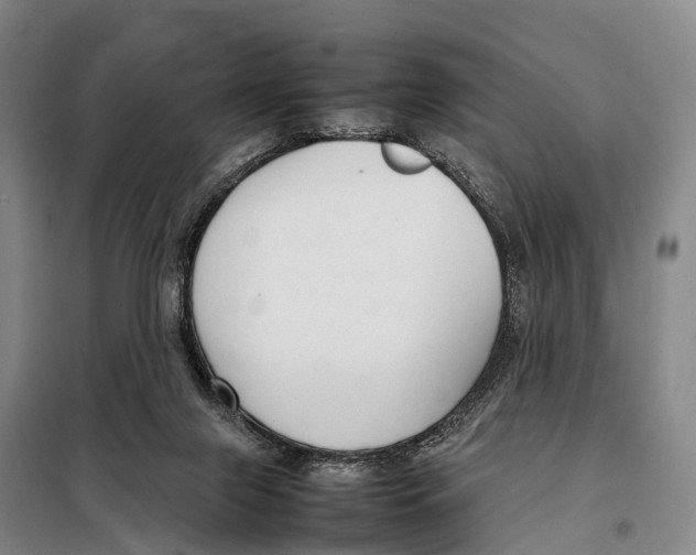 X0000098020071200804251147