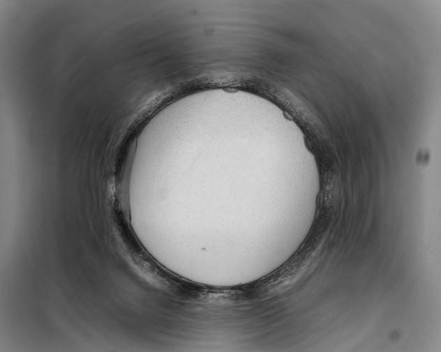 X0000098020072200804251147
