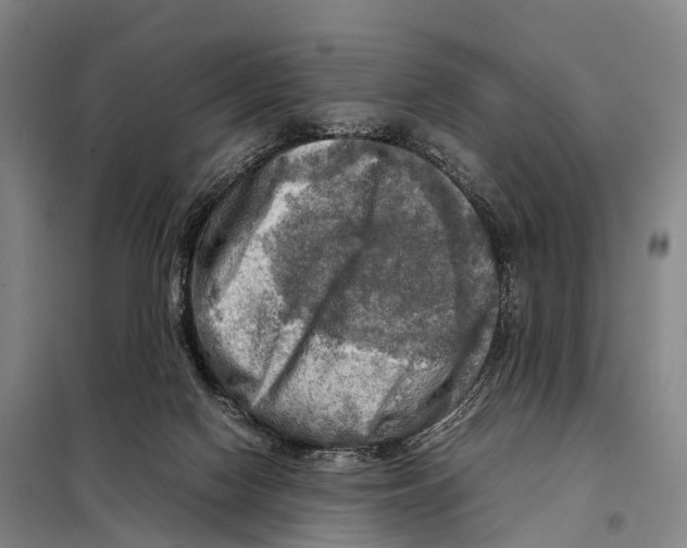 X0000098020074200804251147