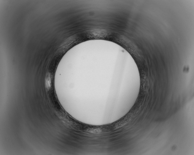 X0000098020075200804251147