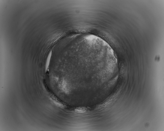 X0000098020076200804251147