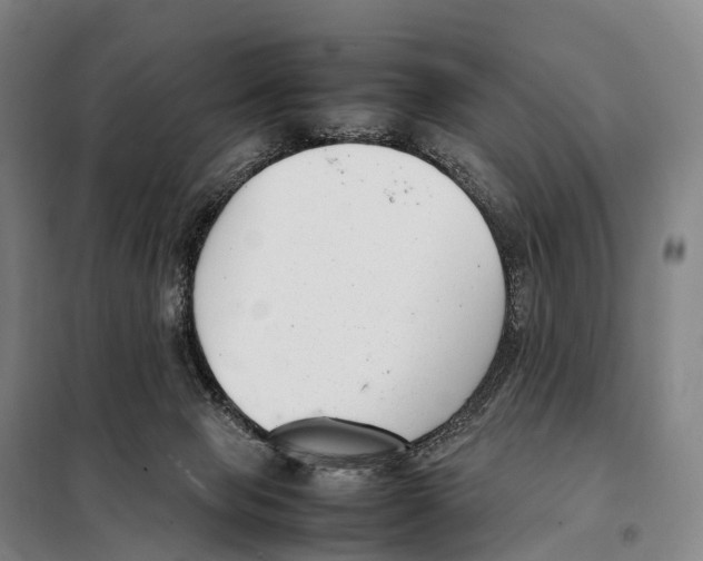 X0000098020077200804251147