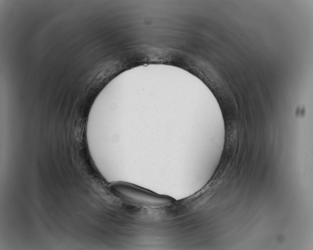 X0000098020078200804251147