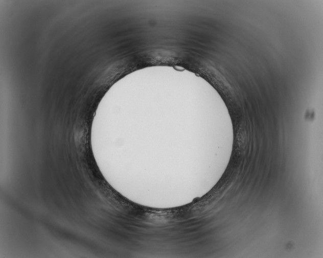 X0000098020079200804251147