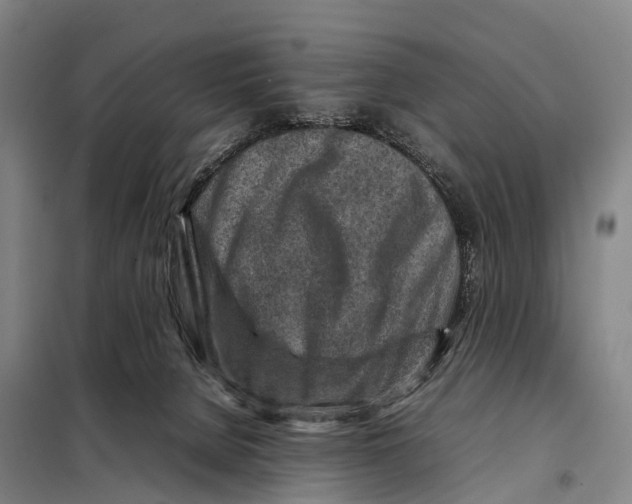 X0000098020080200804251147