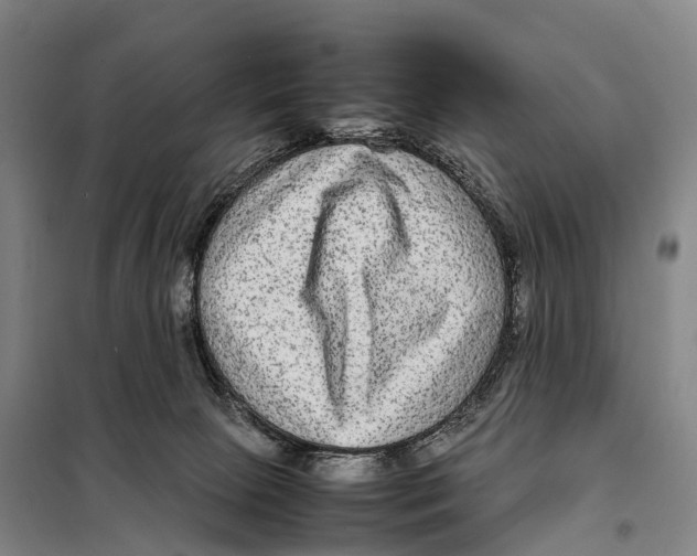 X0000098020081200804251147