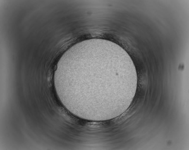 X0000098020082200804251147