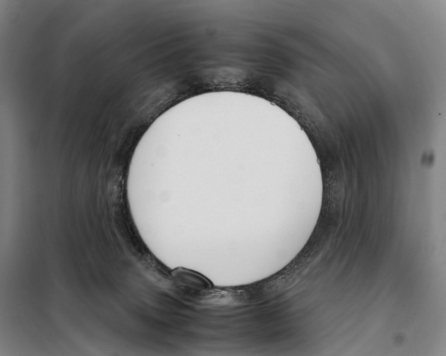 X0000098020083200804251147