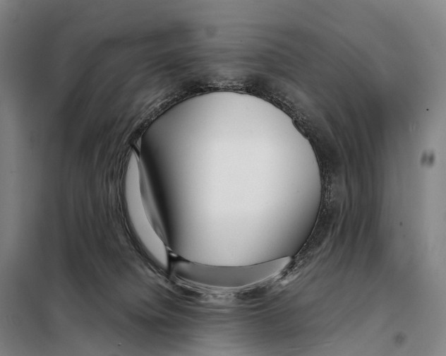 X0000098020084200804251147