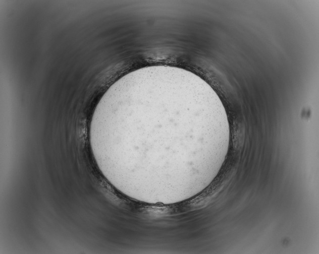 X0000098020085200804251147