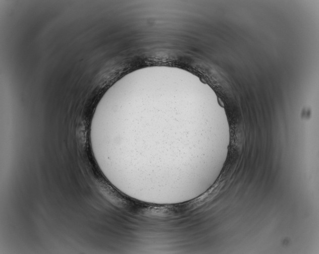 X0000098020086200804251147