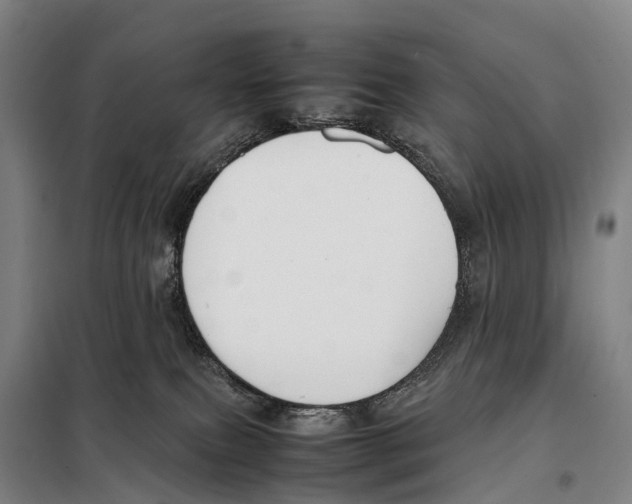 X0000098020087200804251147