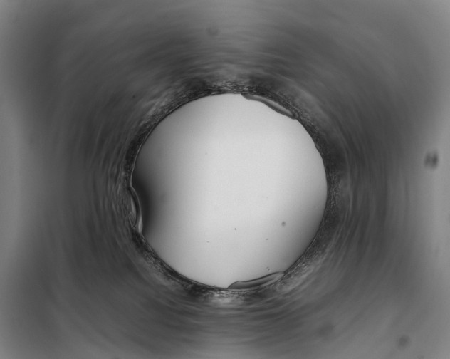 X0000098020088200804251147