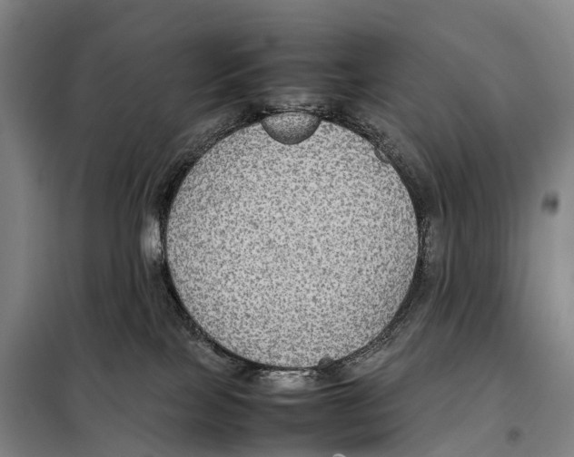 X0000098020089200804251147