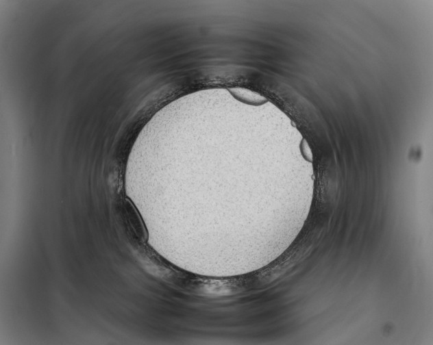 X0000098020091200804251147