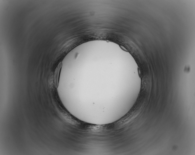 X0000098020092200804251147