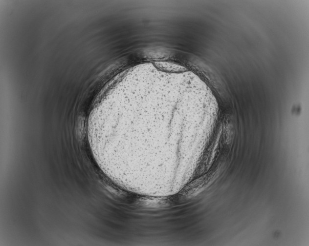 X0000098020093200804251147