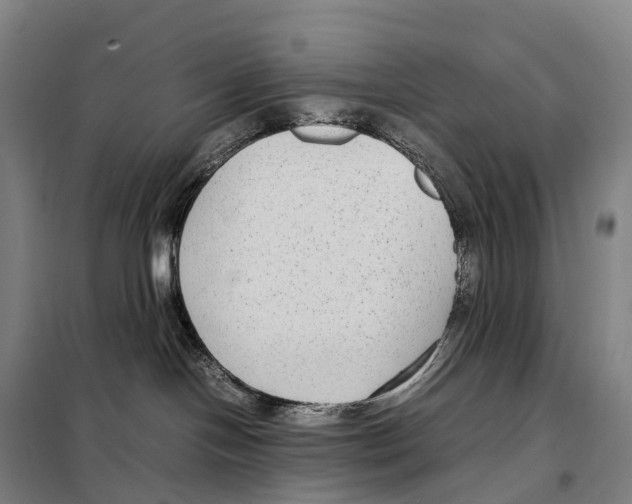 X0000098020094200804251147