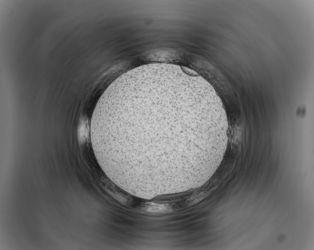 X0000098020095200804251147