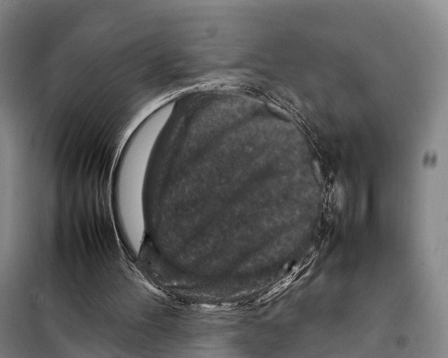 X0000098020100200804251147