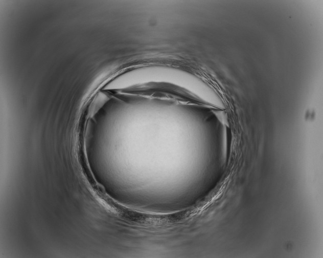 X0000098020101200804251146