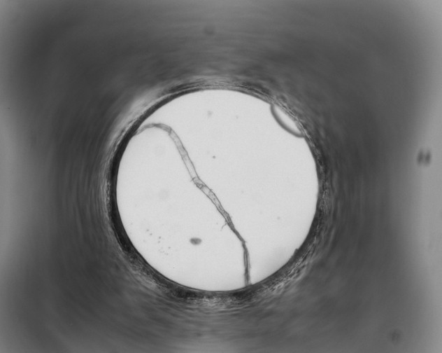 X0000098020103200804251146