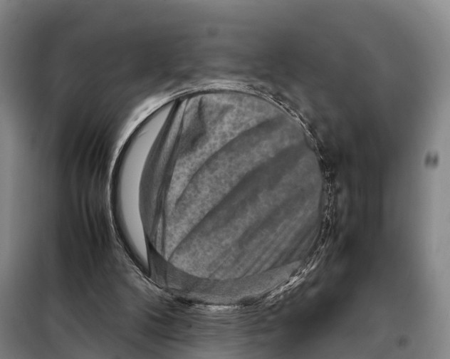 X0000098020104200804251146