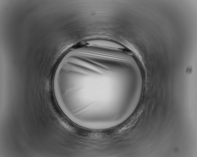 X0000098020105200804251146
