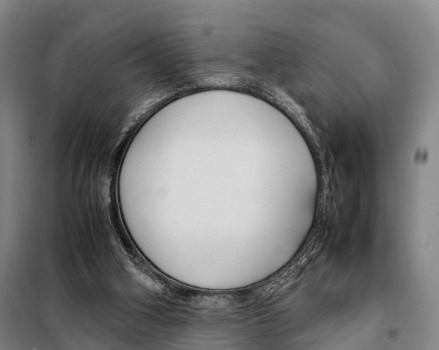 X0000098020106200804251146