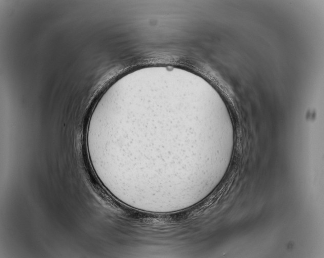 X0000098020107200804251146