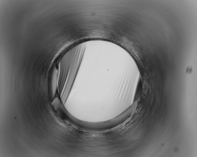 X0000098020108200804251146