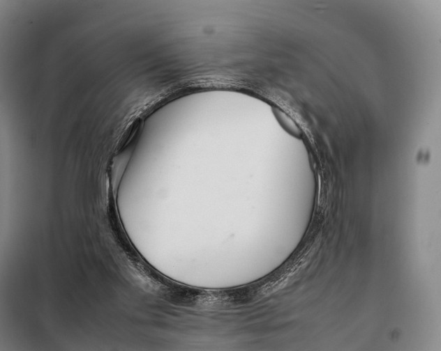 X0000098020109200804251146