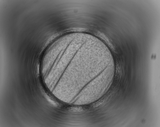 X0000098020110200804251146