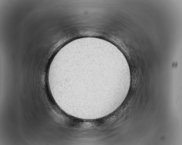 X0000098020111200804251146