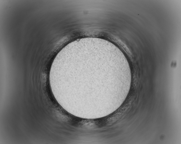 X0000098020113200804251146