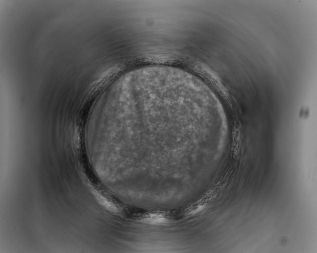 X0000098020114200804251146