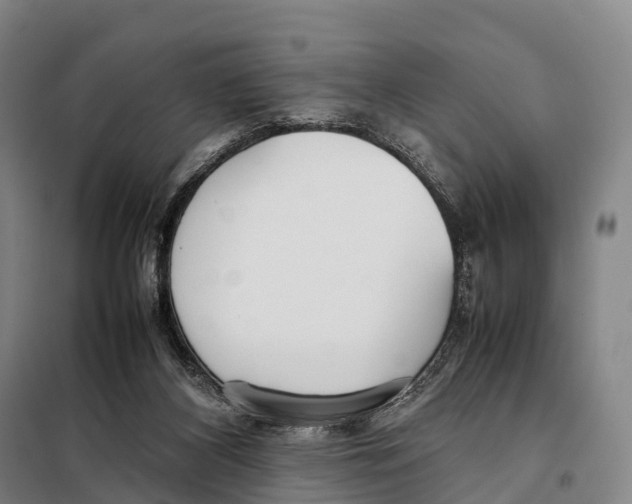 X0000098020116200804251146