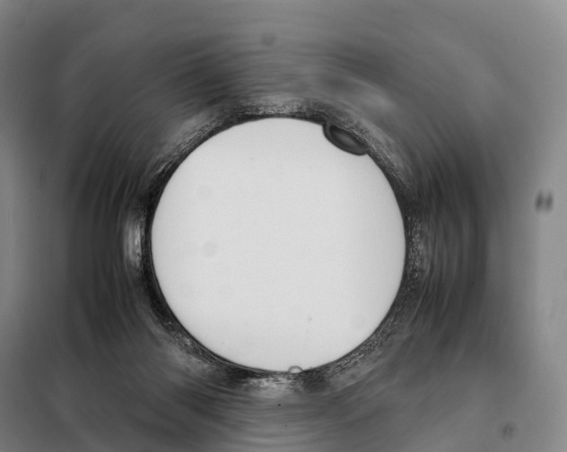 X0000098020118200804251146