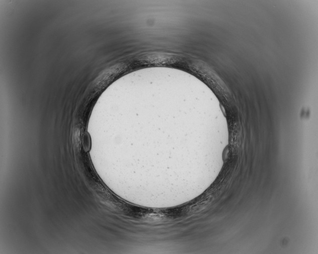 X0000098020119200804251146