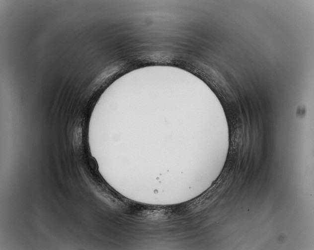X0000098020120200804251146