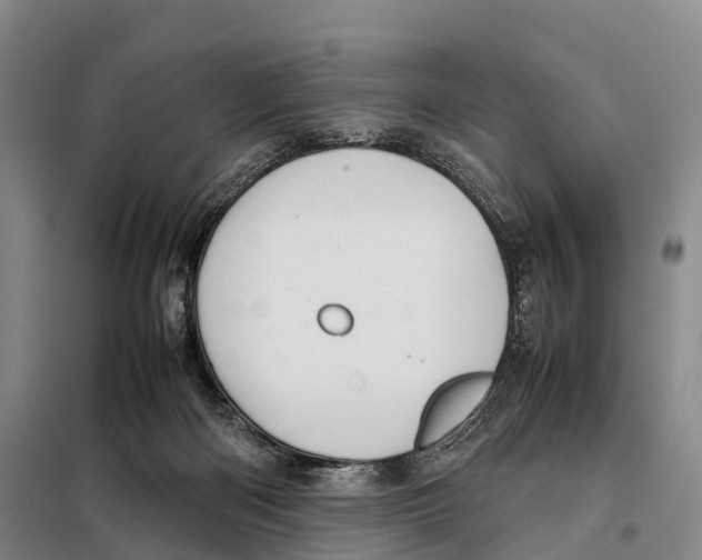 X0000098020122200804251146